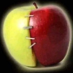 1ṅṡ1ḋ3ṁÿḧ3äḋ_ṁ1ẍ1(144ḅṗṁ)