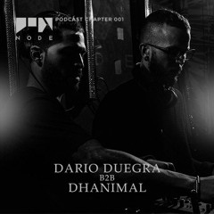 NODE Podcast Chapter #001 | Dario Duegra b2b Dhanimal