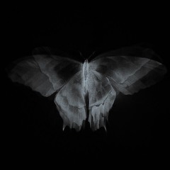 SYMBIOSIS