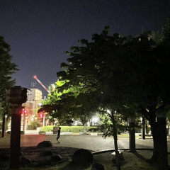 シガナイfeat.JAL （サブスク配信中）