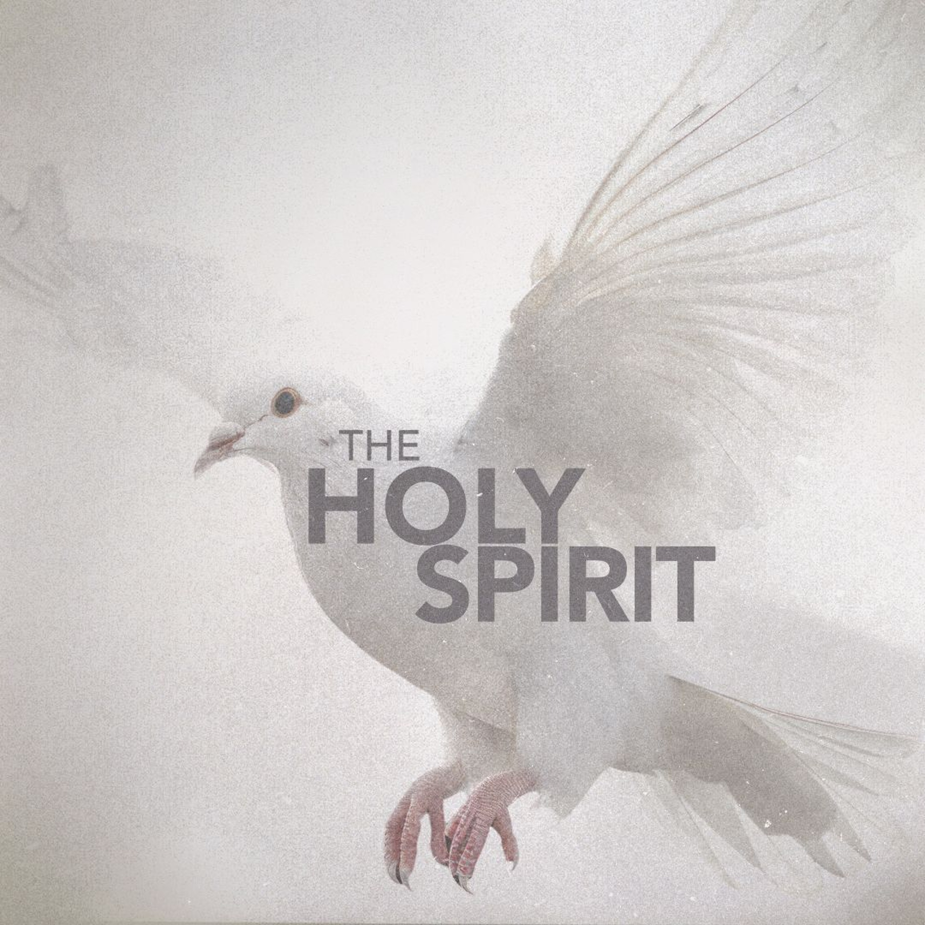 Jonathan McGill | The Holy Spirit - The Message of John the Baptist | 19th May 2024