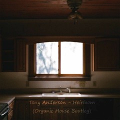 Tony Anderson - Heirloom (organic house btlg)