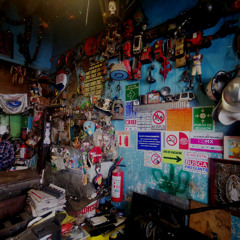 la vida de una tarantula