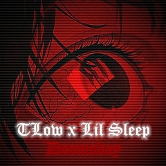 TLOW AI x LIL SLEEP -DOOMSDAY (prod. By xFlotex)