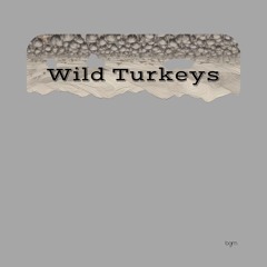 Wild Turkeys