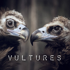 Vultures - (Trap Type Beat) (prod. by kushPhil)