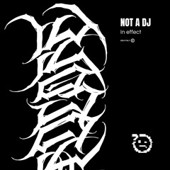Not a Dj - In Effect