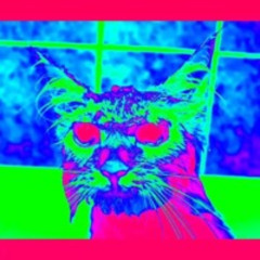 Doja Cat - "Wet Vagina" - Overhold Remix