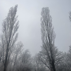 Lost Innocence with Staarz