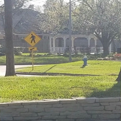 never trying feat. d0llywood1