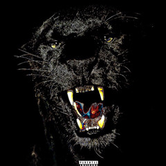KOW (prod by. ROGAN ROBB)