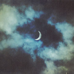 Blood Cultures - Moon (incndscnt cover)