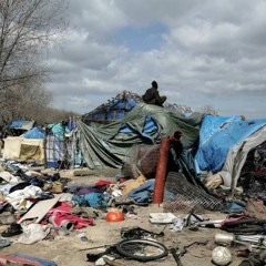 The Migrant