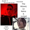 Avant  Y - The Wizard, La Reina & La Nuit DJ mix artwork - Electronic music tracklist cover image