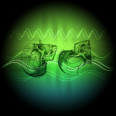 The Field Guide Radio - The Headless Skeleton (MSOM Remix)