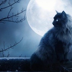 Mix Bass House Lounge 1