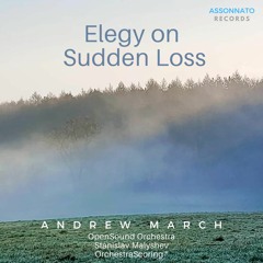 Elegy On Sudden Loss