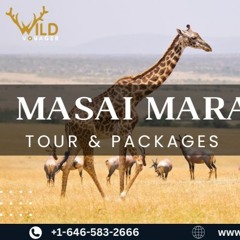 Kenya Safari Tour Packages In Cheap Price