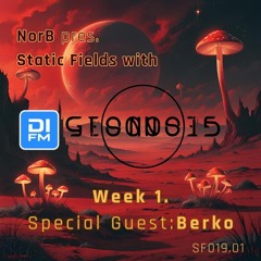 Static Fields Ep19 Part 1 DI.FM Guest: Berko from Geonosis