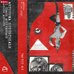 Course of Dispute (on VIY-Autonoma Industriale)
