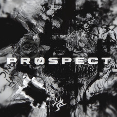 INSRGNCE | PRØSPECT