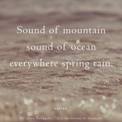 spring rain (naviarhaiku487)