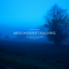 misunderstanding (w/ entris)