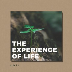 The Experience of Life