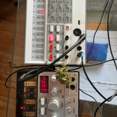 brutalmixcordial.zzz2