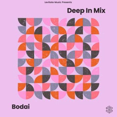 Deep In Mix 81 with Bodai