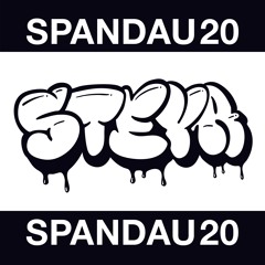 SPND20 Mixtape by STEYA
