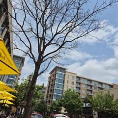 SMILE FEAT. LUNO INDIGO