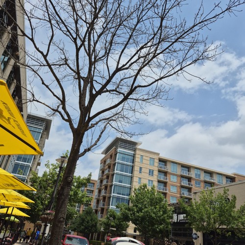 SMILE FEAT. LUNO INDIGO