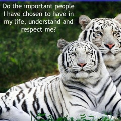Do People Disappoint You…with Rowie McEvoy