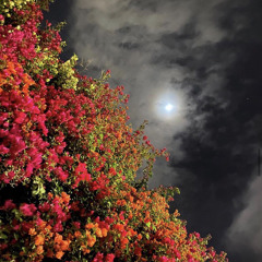 منحرم وصلك - بن فطيس