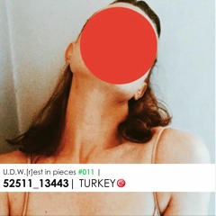 U.D.W.[r]est in pieces #011 | 52511_13443 | TURKEY