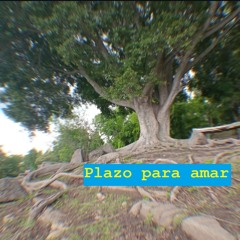 Plazo para amar (Demo)