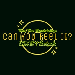 Wes The Electrician - Can You Feel It? - WOMP! Records
