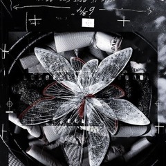 i fall for it every time