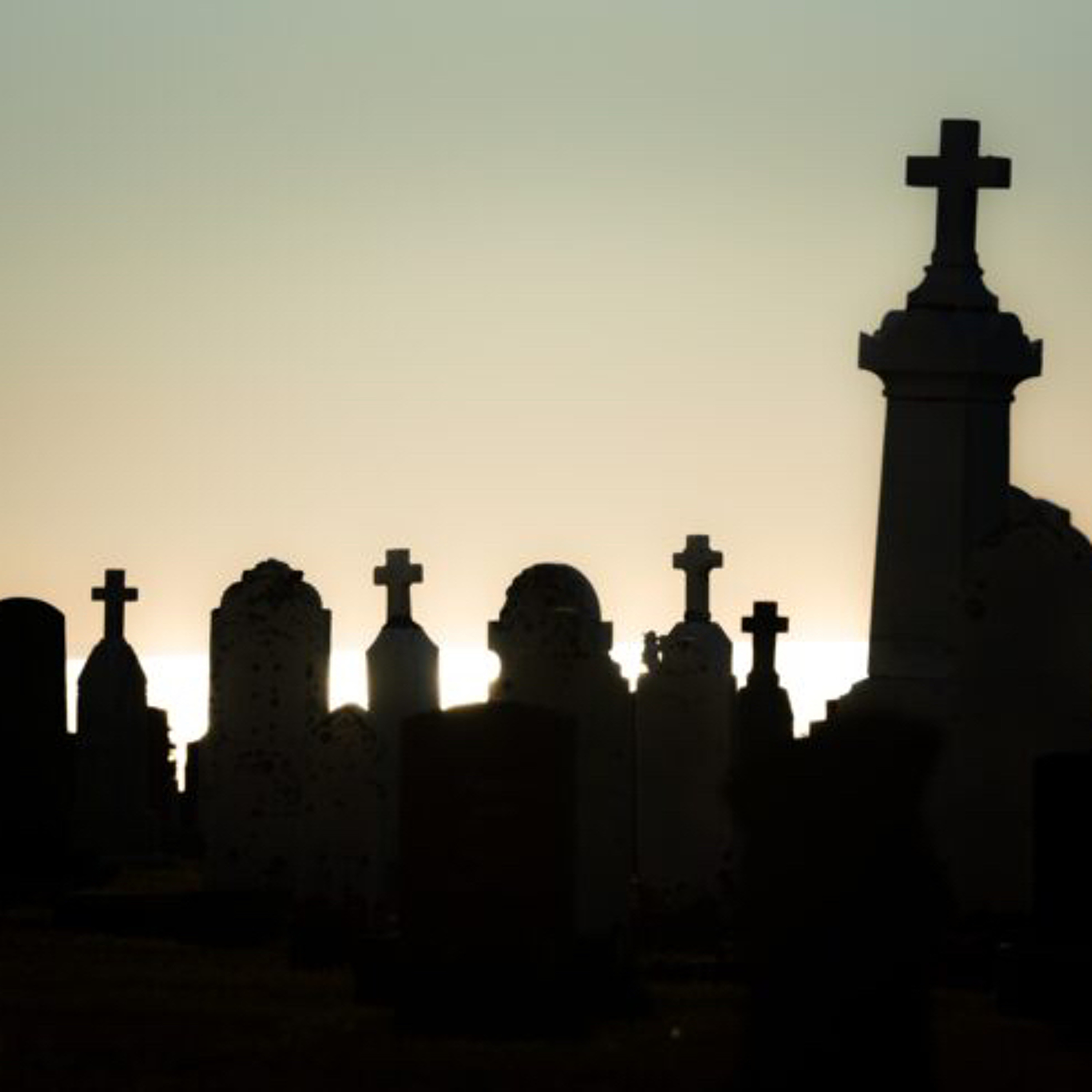 DYING TWICE? Homily for All Saints Day 11-01-2023 episode artwork
