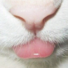 im so filthy 140 bpm @babycashy1 @1sinisterr