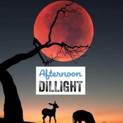 Introspective vol 1 - Afternoon Dillight