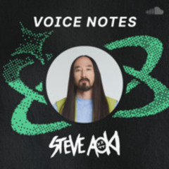 Voice Notes - Steve Aoki on "Pursuit Of Happiness" by Kid Cudi (Steve Aoki Remix)