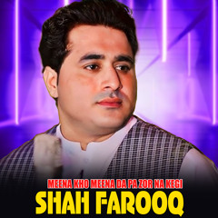 Meena Kho Meena Da Pa Zor Na Kegi