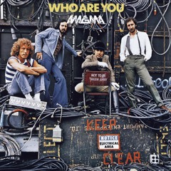The Who - WHO ARE YOU MAGMA FLIP