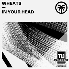 TB Premiere: Wheats - What You Do [Hottrax]
