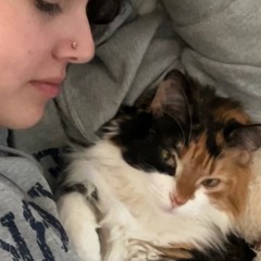 find your own way home