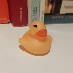 Kids - Current Joys (Cover)