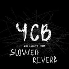 Lida - ЧСВ скуф версия (slowed + reverb)