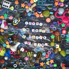 Sorry I'm Just A Waste Of Time